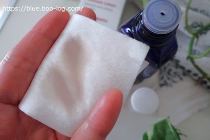 ワイルドローズ モイスチャーローション/WELEDA/化粧水を使ったクチコミ(1枚目)