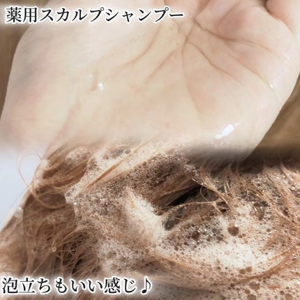 スカルプD ボーテ 薬用スカルプシャンプー (ボリューム)/薬用トリートメントパック (ボリューム)/アンファー(スカルプD)/市販シャンプーを使ったクチコミ(2枚目)