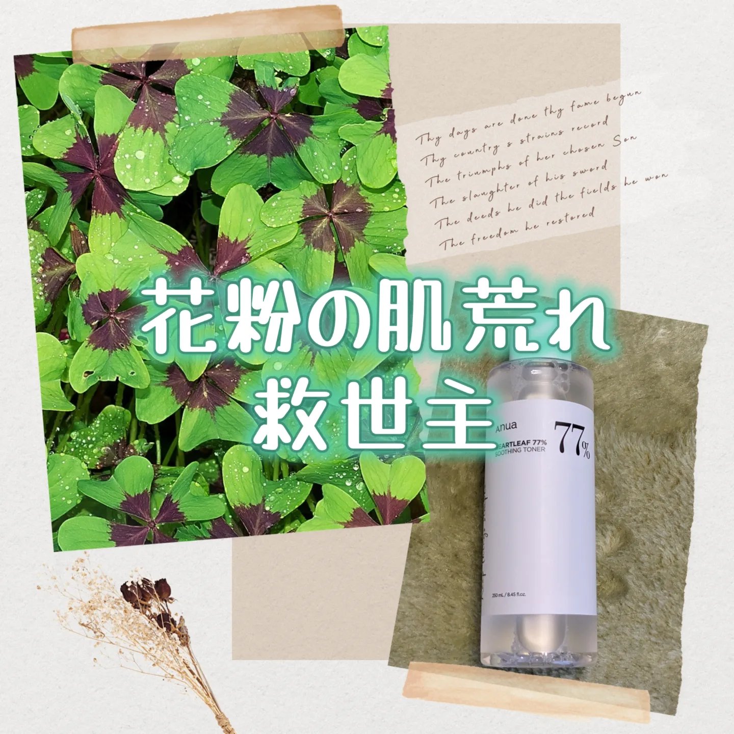 ドクダミ 77 スージングトナー/Anua/化粧水を使ったクチコミ（1枚目）