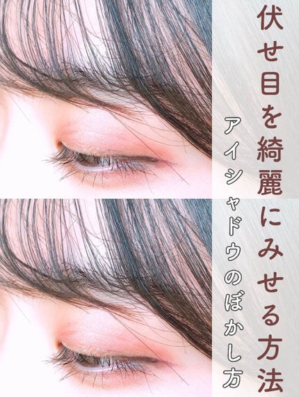 貴族のゴールド メイクブラシ11本セット 化粧ポーチ付き/SIXPLUS/メイクブラシを使ったクチコミ(1枚目)