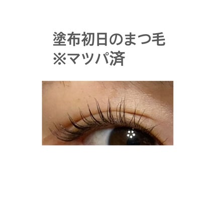 マジックティント/MAJOLICA MAJORCA/マスカラを使ったクチコミ(3枚目)