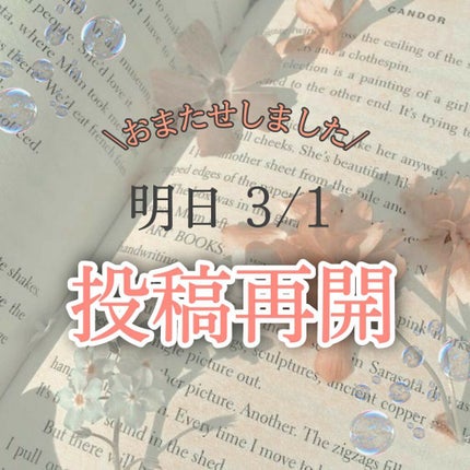 を使ったクチコミ(1枚目)