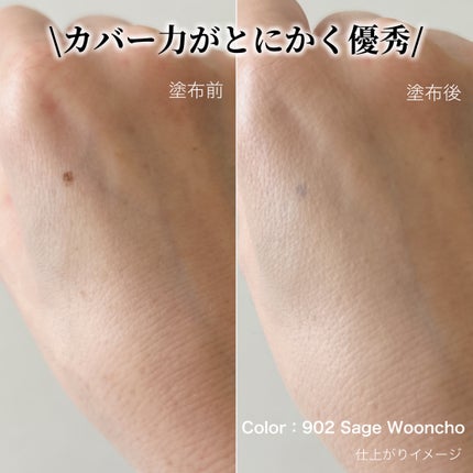 ブラーフィニッシュ雲楚クッション/Dinto/クッションファンデーションを使ったクチコミ(4枚目)