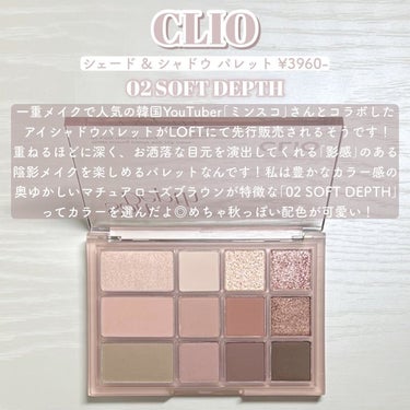 シェード アンド シャドウ パレット 02 SOFT DEPTH/CLIO/アイシャドウパレットを使ったクチコミ（2枚目）