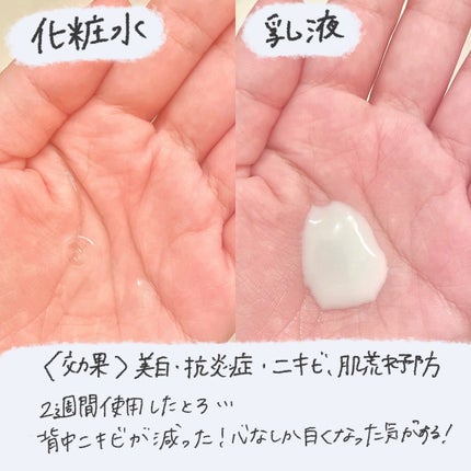 白潤プレミアム薬用浸透美白化粧水/肌ラボ/化粧水を使ったクチコミ(3枚目)