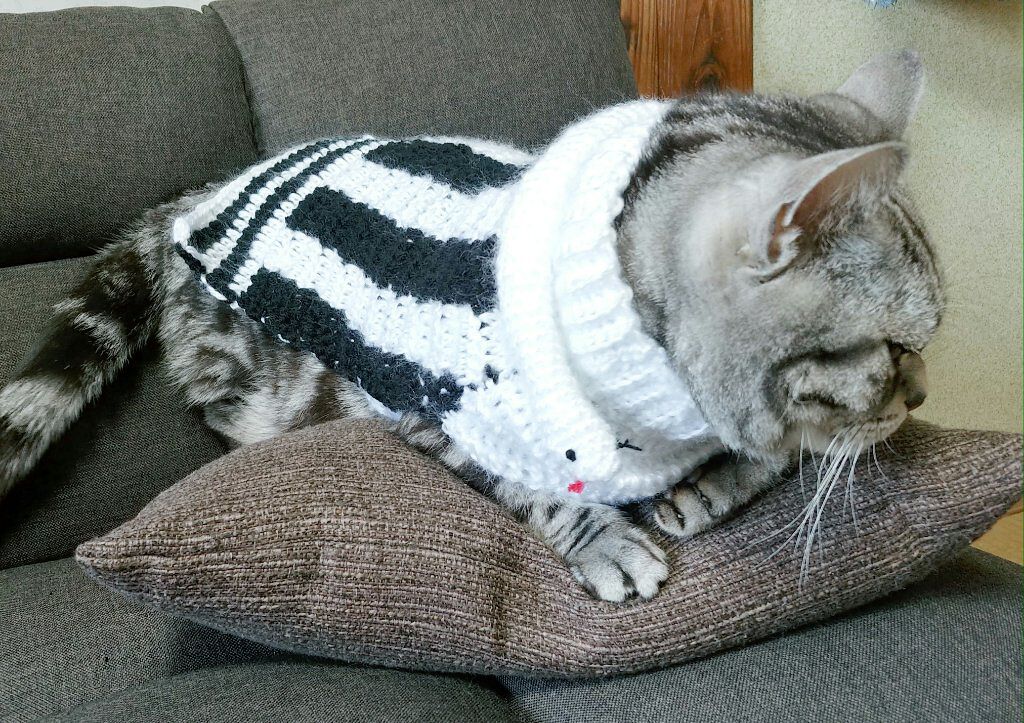 毛糸/セリア/その他を使ったクチコミ（2枚目）