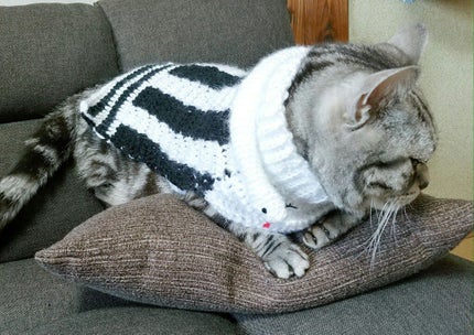 毛糸/DAISO/その他を使ったクチコミ(2枚目)