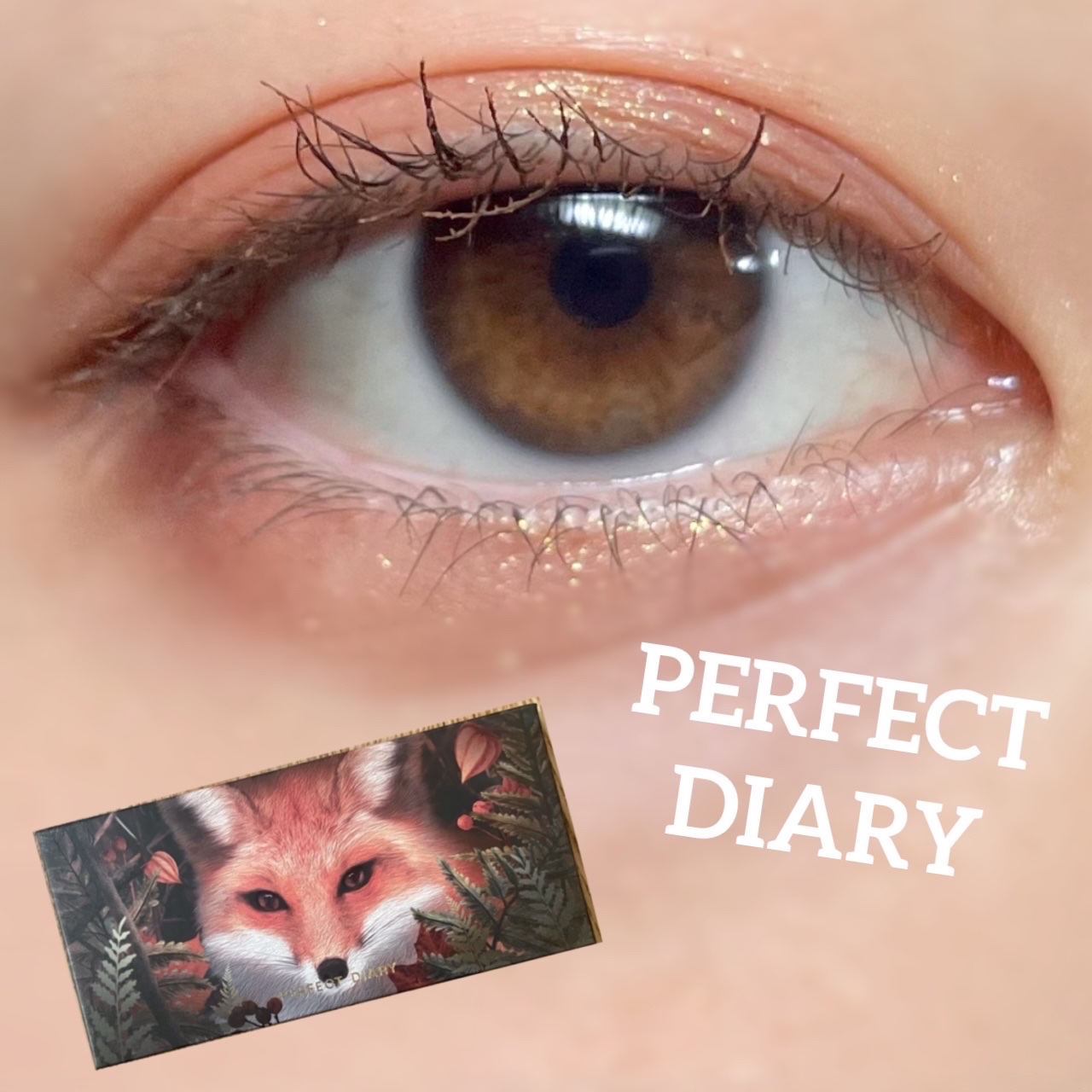 エクスプローラ12色 動物アイシャドウパレット/PERFECT DIARY/アイシャドウパレットを使ったクチコミ（1枚目）