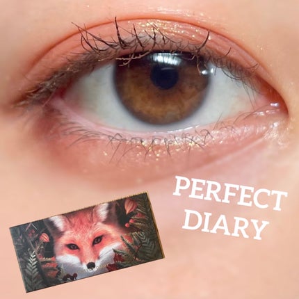 エクスプローラ12色 動物アイシャドウパレット/PERFECT DIARY/アイシャドウパレットを使ったクチコミ(1枚目)