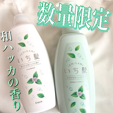 いち髪 シャンプー&コンディショナー(涼やかな和ハッカの香り)/いち髪/市販シャンプーを使ったクチコミ(1枚目)