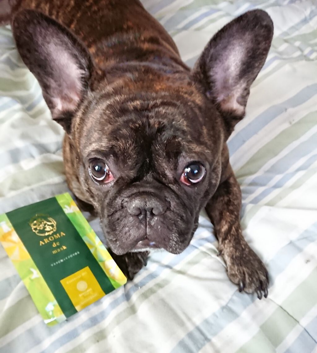 アロマdeマスク/ウェルベスト/マスクを使ったクチコミ（3枚目）