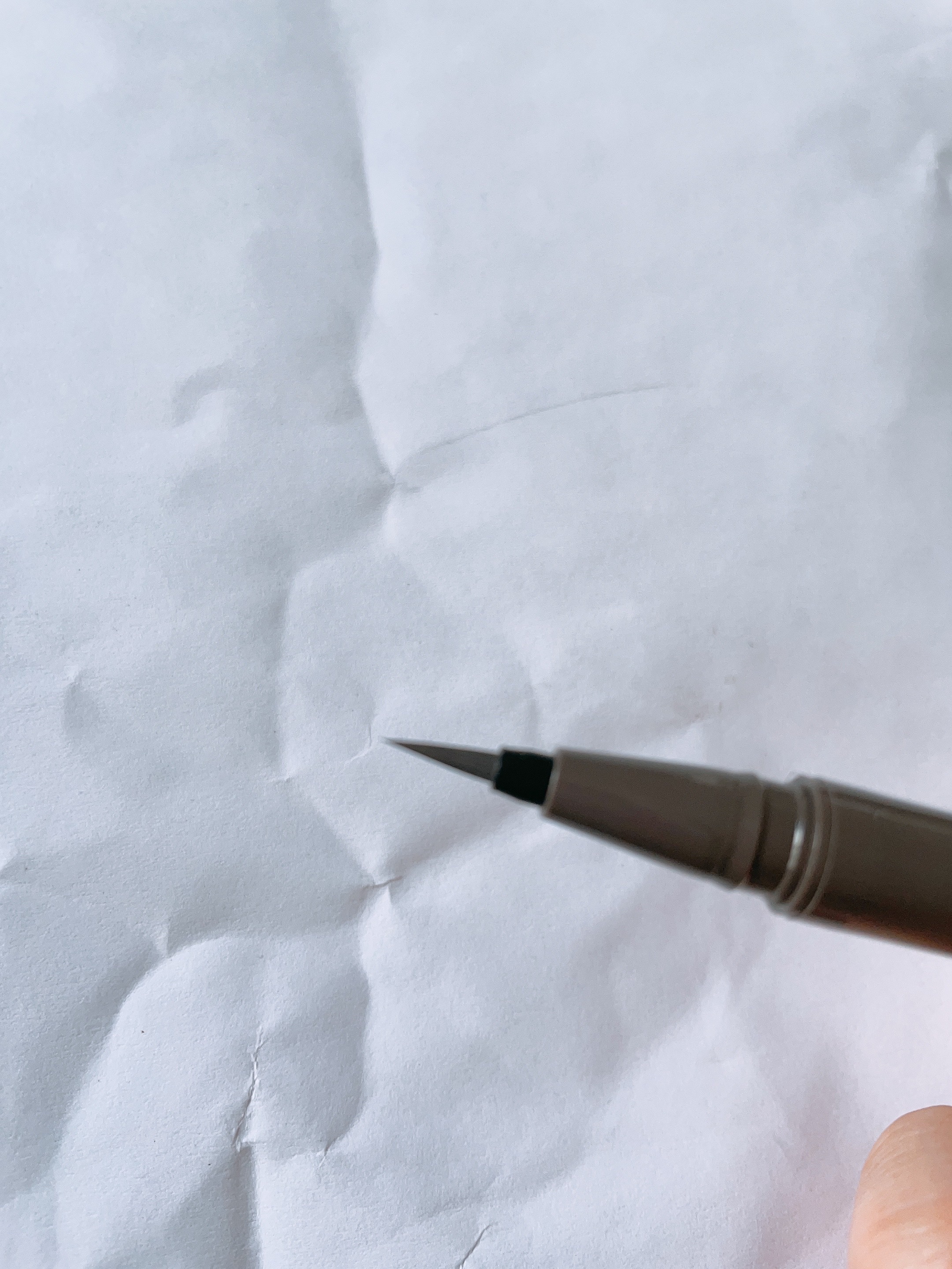 パーフェクトエクステンション マスカラ for カール/D-UP/マスカラを使ったクチコミ（2枚目）