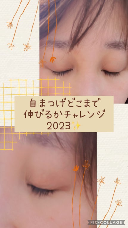 アヴァンセ ラッシュセラム EX(医薬部外品)/アヴァンセ/その他を使ったクチコミ(1枚目)