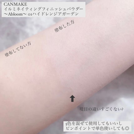イルミネイティングフィニッシュパウダー ~Abloom~/キャンメイク/プレストパウダーを使ったクチコミ(4枚目)