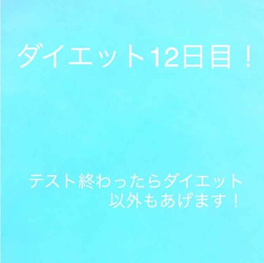 ダイエット12日目！

今日は運動をメニューを倍にする日o(｀ω´ )o

＜食事＞
朝食     シチューと昨日の魚

昼食       給食

夕食      シューマイ3つとシチューをお椀の半分
