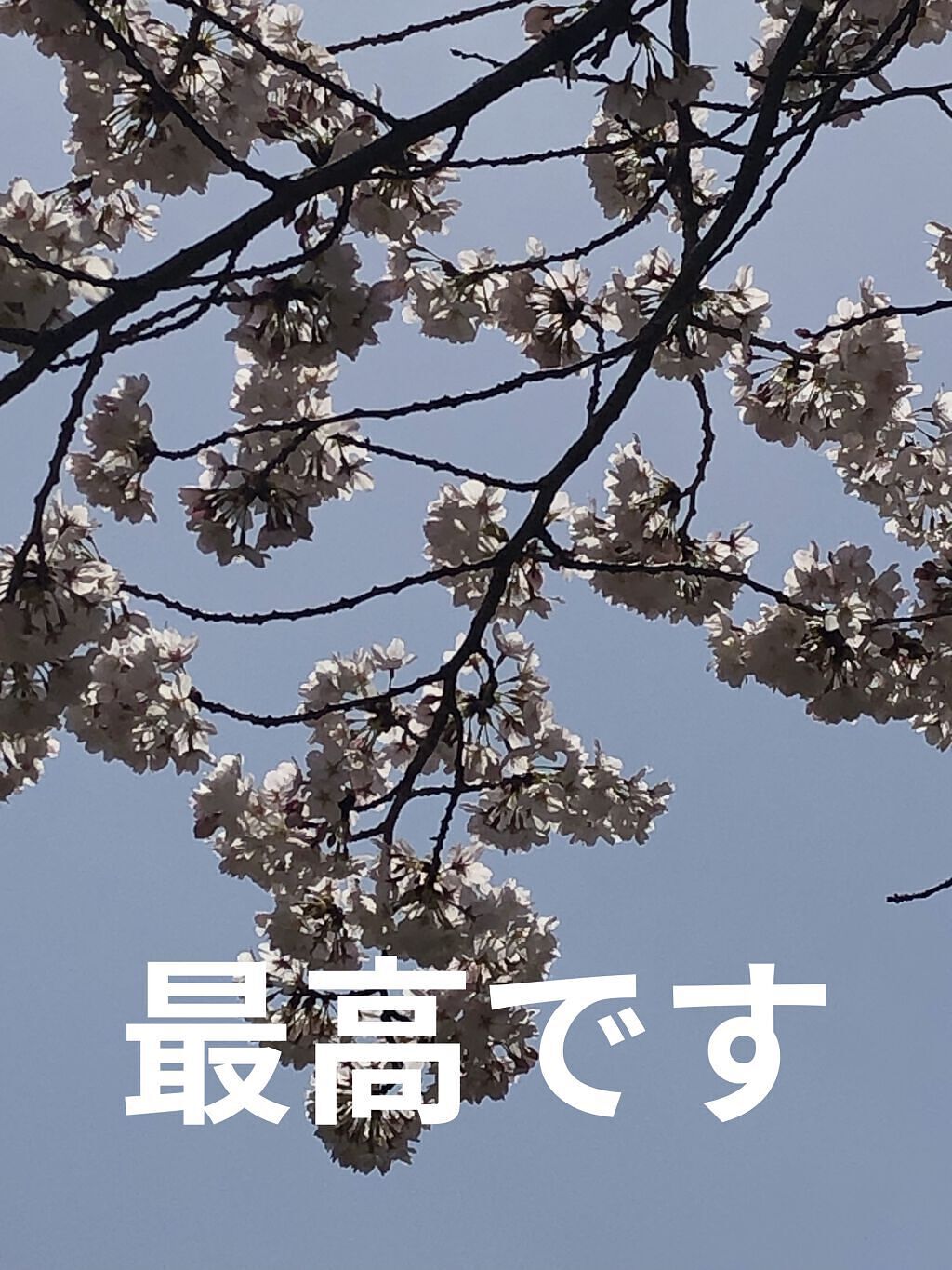 皮脂テカリ防止下地/CEZANNE/化粧下地を使ったクチコミ（1枚目）