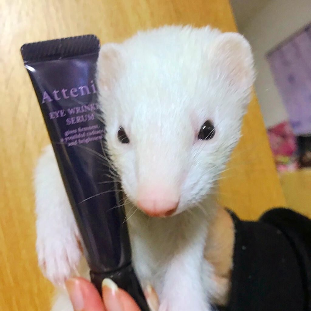 アイ リンクルセラム/アテニア/アイケア・アイクリームを使ったクチコミ(5枚目)