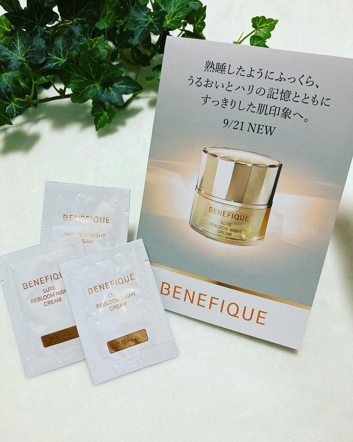 リュクス リブルームナイトクリーム/BENEFIQUE/フェイスクリームを使ったクチコミ（1枚目）