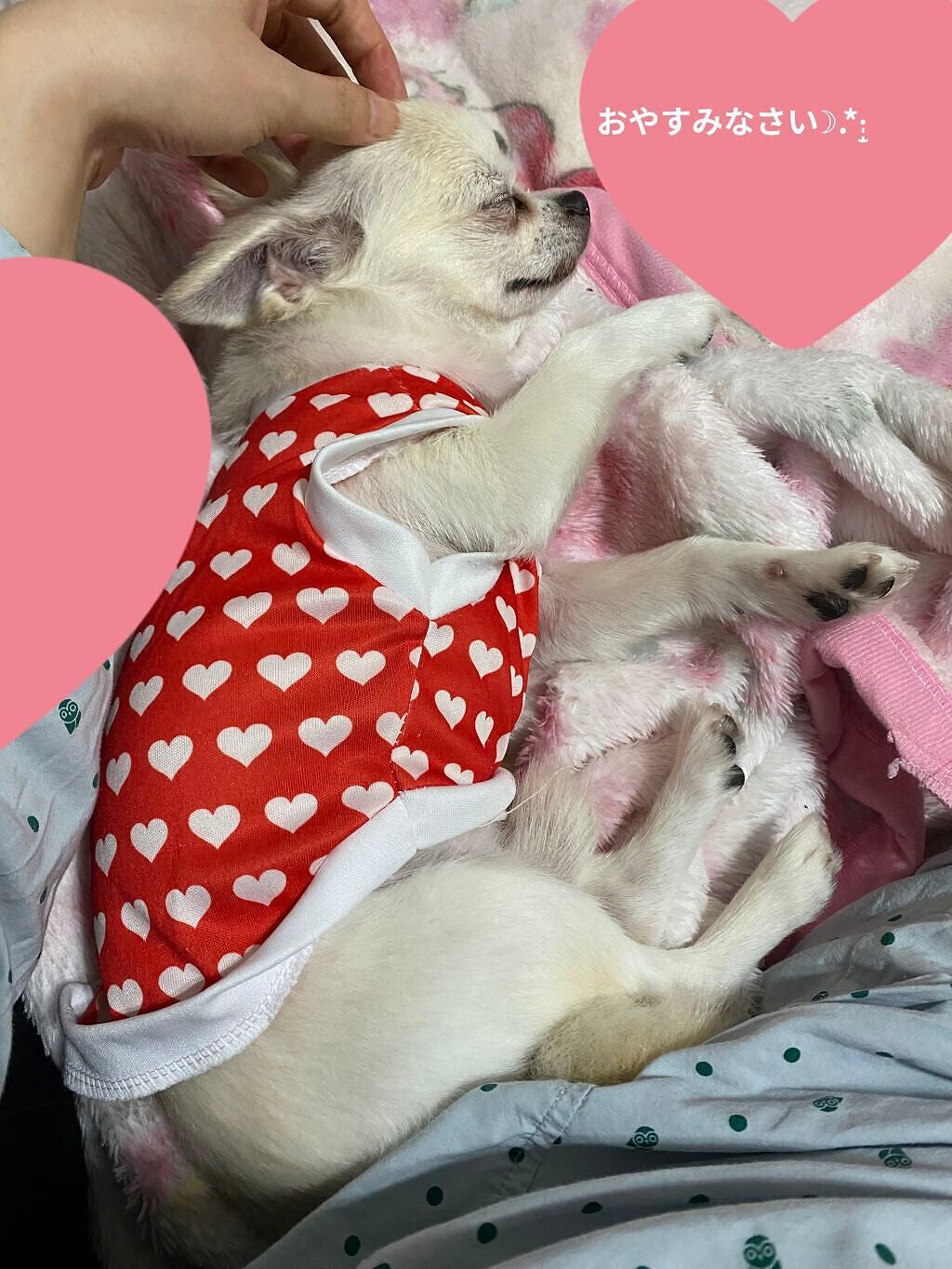 フェアリシャワージェル/フランフラン/ボディソープを使ったクチコミ(7枚目)