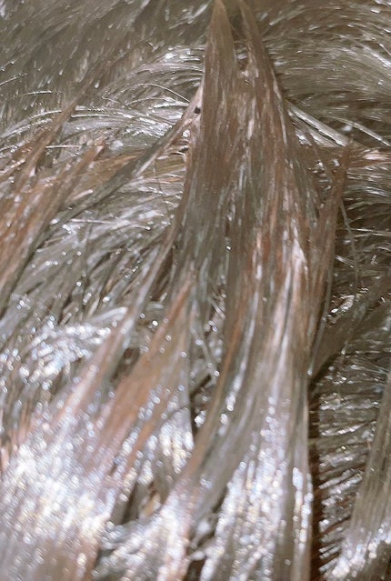 トカラの海のヘアパック/ノエビア/ヘアマスク・ヘアパックを使ったクチコミ(4枚目)