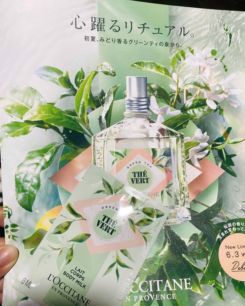 グリーンティー ボディミルク/L'OCCITANE/ボディミルクを使ったクチコミ（1枚目）