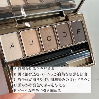 スタイリングアイゾーンコンパクト 01 Natural Brown/LUNASOL/アイシャドウパレットを使ったクチコミ（2枚目）