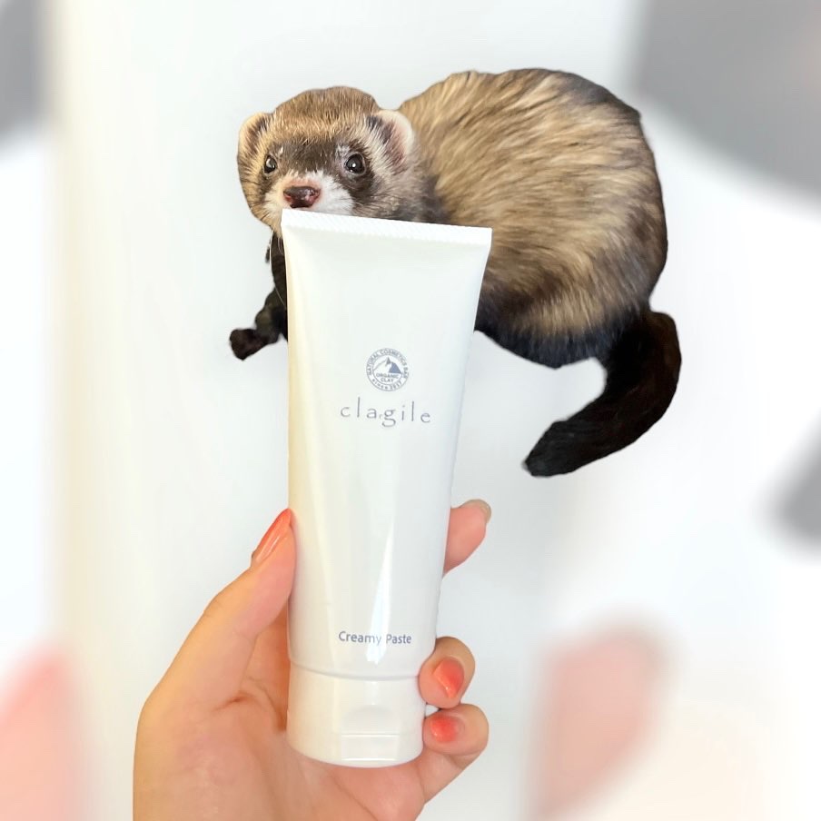  クレイル クリーミーペースト/clargile/その他洗顔料を使ったクチコミ（1枚目）