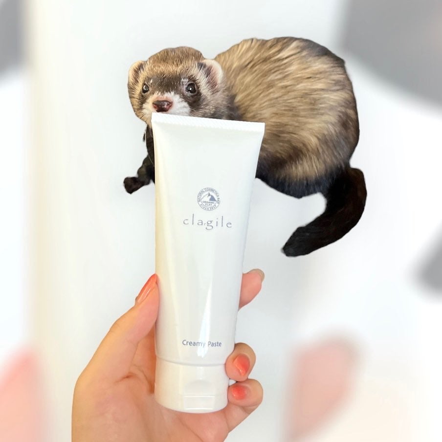 クレイル クリーミーペースト/clargile/その他洗顔料を使ったクチコミ(1枚目)