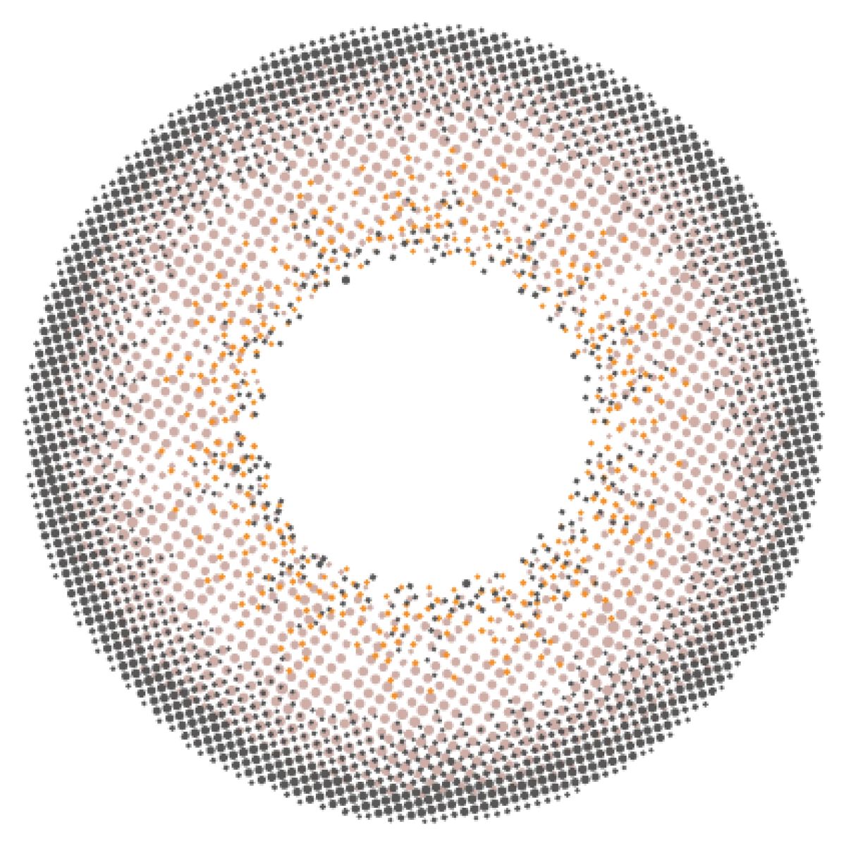 Angelcolor Bambi Series 1day  パールグレー
