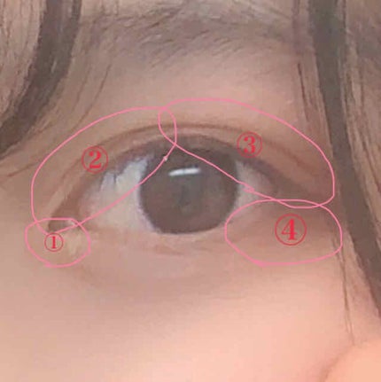 グロッシーリッチ アイズ N/Visée/アイシャドウパレットを使ったクチコミ(4枚目)