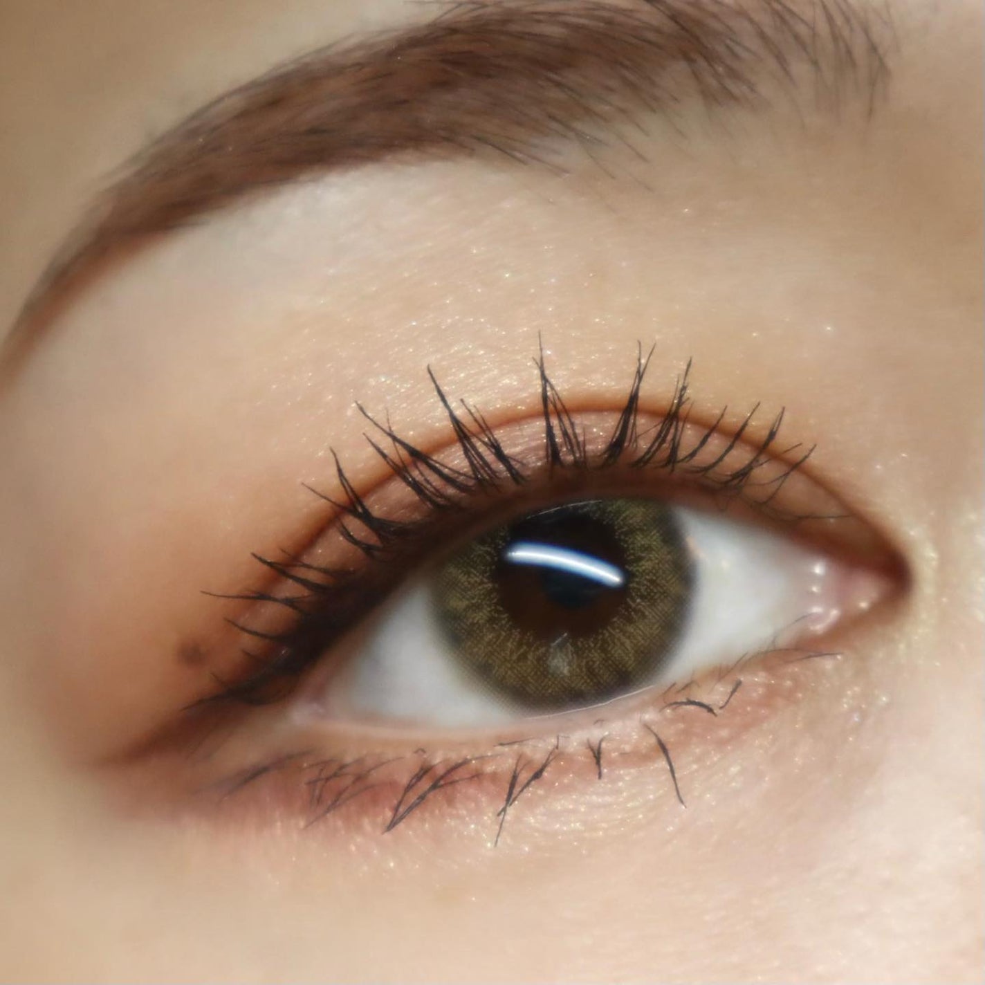 カラードシャドウ/KANEBO/アイシャドウパレットを使ったクチコミ(7枚目)