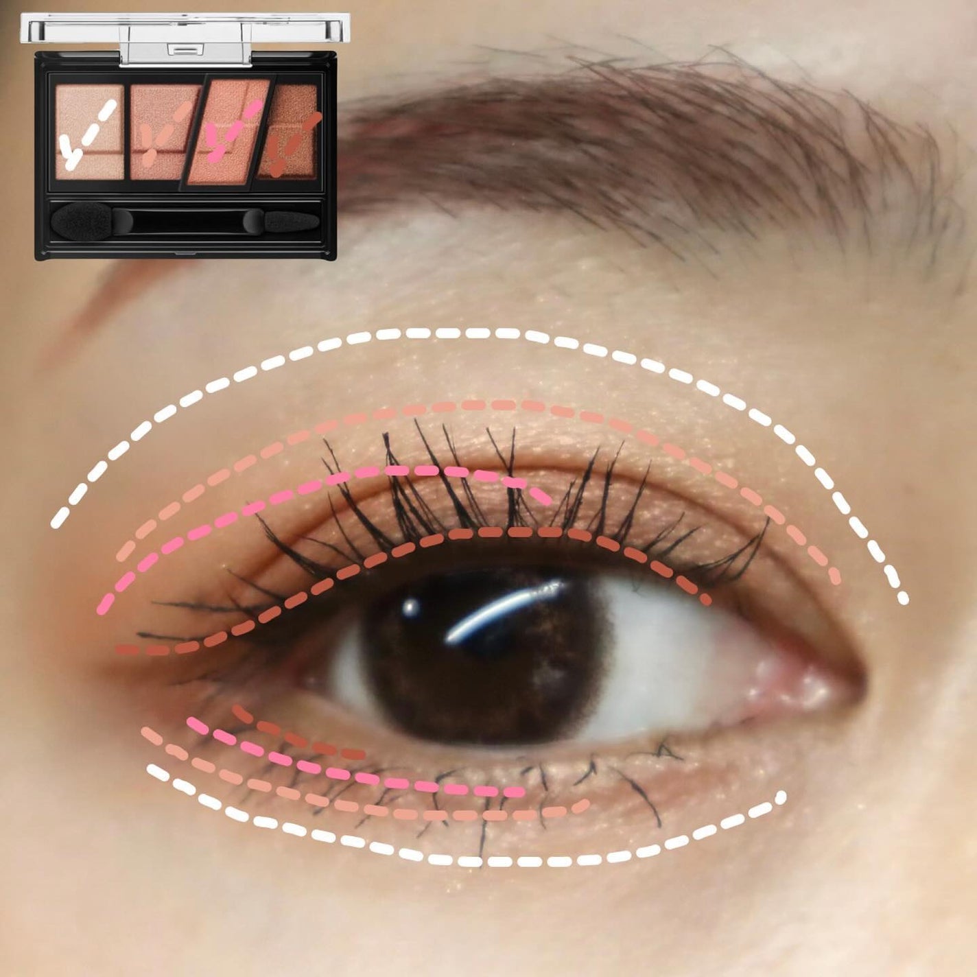 デザイニングブラウンアイズ/KATE/アイシャドウパレットを使ったクチコミ(5枚目)