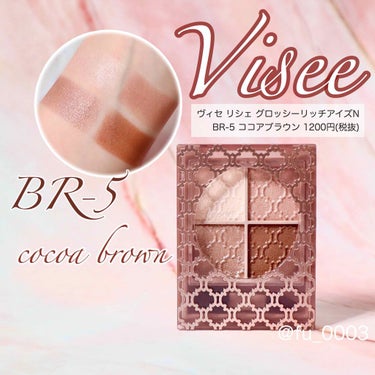 グロッシーリッチ アイズ N/Visée/パウダーアイシャドウを使ったクチコミ（1枚目）