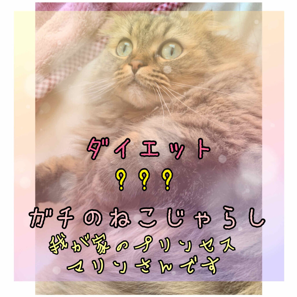 自己紹介/雑談/その他を使ったクチコミ（1枚目）