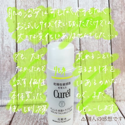 皮脂トラブルケア 化粧水/キュレル/化粧水を使ったクチコミ(3枚目)