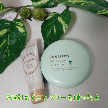 ポアレスリメイカー/キャンメイク/化粧下地を使ったクチコミ(6枚目)