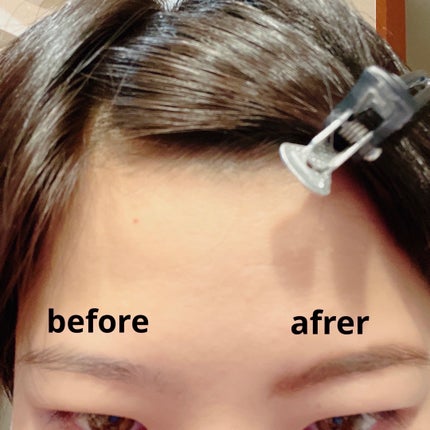 アイブロウワックス&パウダー W2 ナチュラルブラウン/CEZANNE/アイブロウの画像