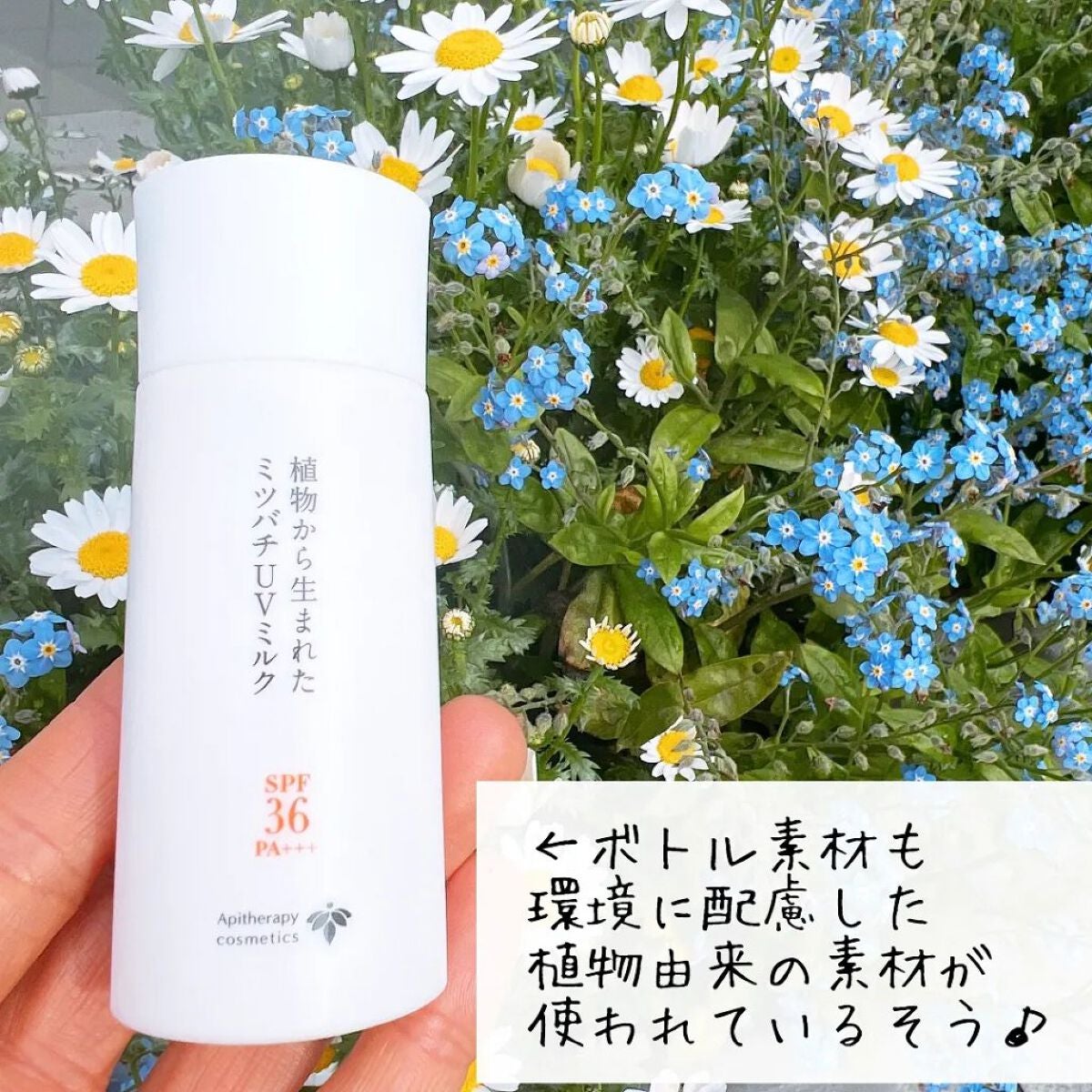 植物から生まれたミツバチUVミルク/アピセラピーコスメティクス/日焼け止めミルクを使ったクチコミ(7枚目)