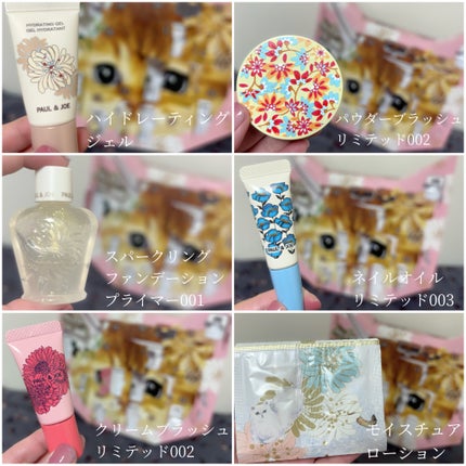 メイクアップ コレクション 2023/PAUL & JOE BEAUTE/メイクアップキットを使ったクチコミ(6枚目)