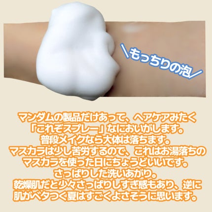 ホリーディア クリーミーリセットクレンジング/HOLIDEA/泡洗顔を使ったクチコミ(3枚目)