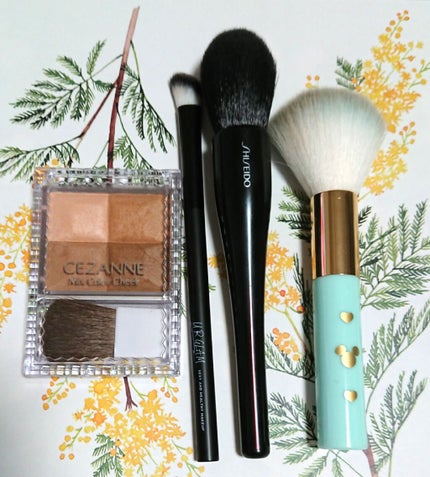 ミックスカラーチーク/CEZANNE/パウダーチークを使ったクチコミ(1枚目)