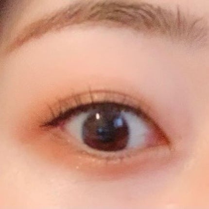 ボーン ディス ウェイ ザ ナチュラル ヌード アイシャドウ パレット/Too Faced/アイシャドウパレットを使ったクチコミ(4枚目)