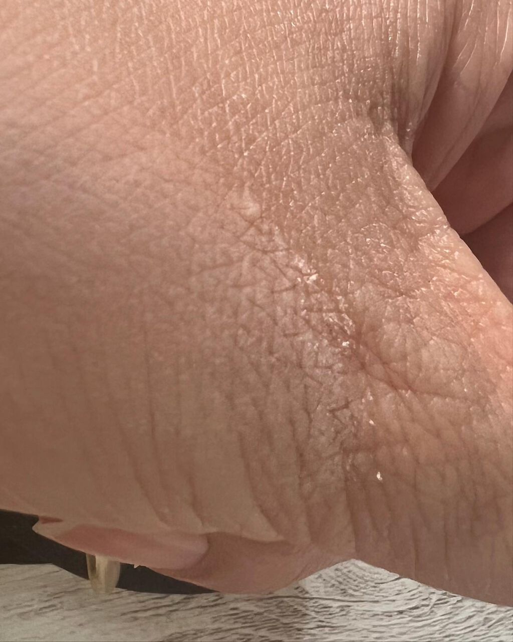 ラ プードル オートニュアンス/Elégance/プレストパウダーを使ったクチコミ(3枚目)