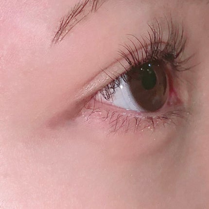 EYE2IN 低刺激 セルフプロ用 まつげパーマ 3種 セット/Qoo10/その他キットセットを使ったクチコミ(3枚目)