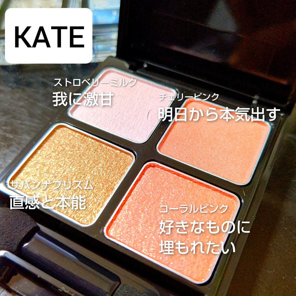 ケイト ザ アイカラー/KATE/単色アイシャドウを使ったクチコミ(1枚目)