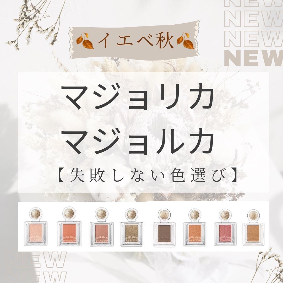 シャドーカスタマイズ/MAJOLICA MAJORCA/単色アイシャドウを使ったクチコミ(1枚目)