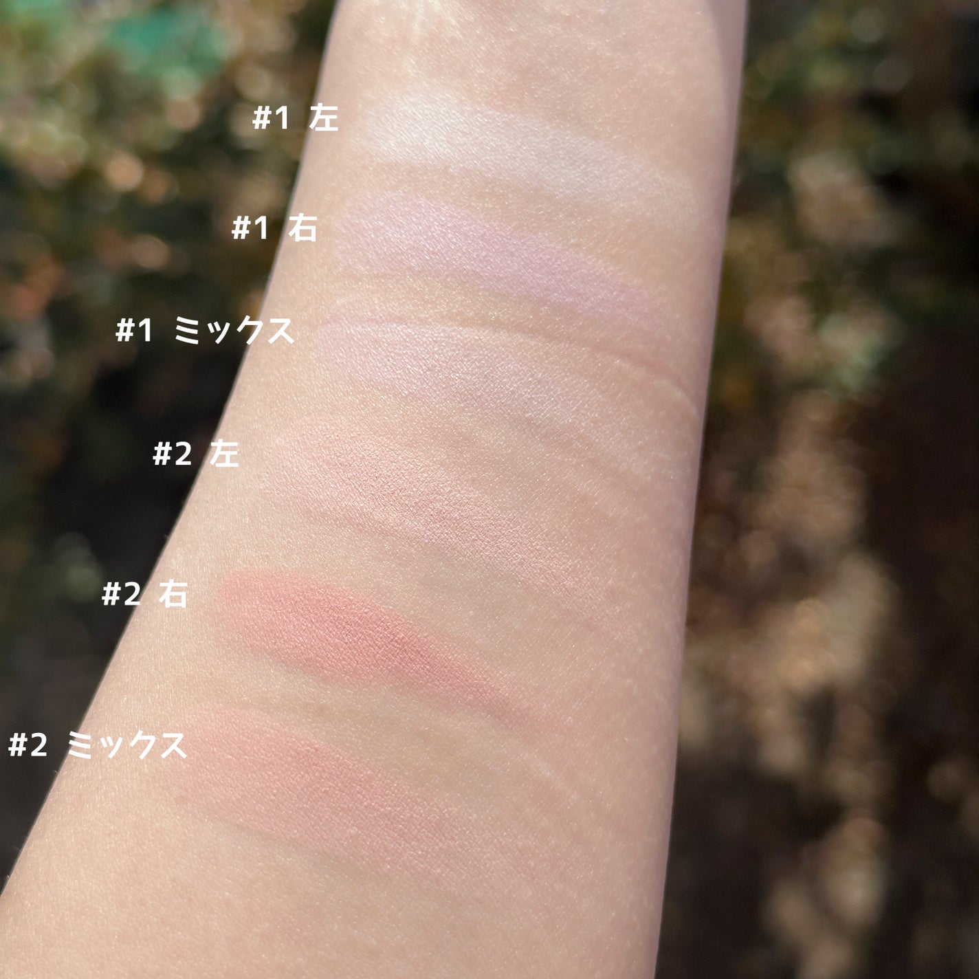 デュアルチーク/2aN/パウダーチークを使ったクチコミ(3枚目)