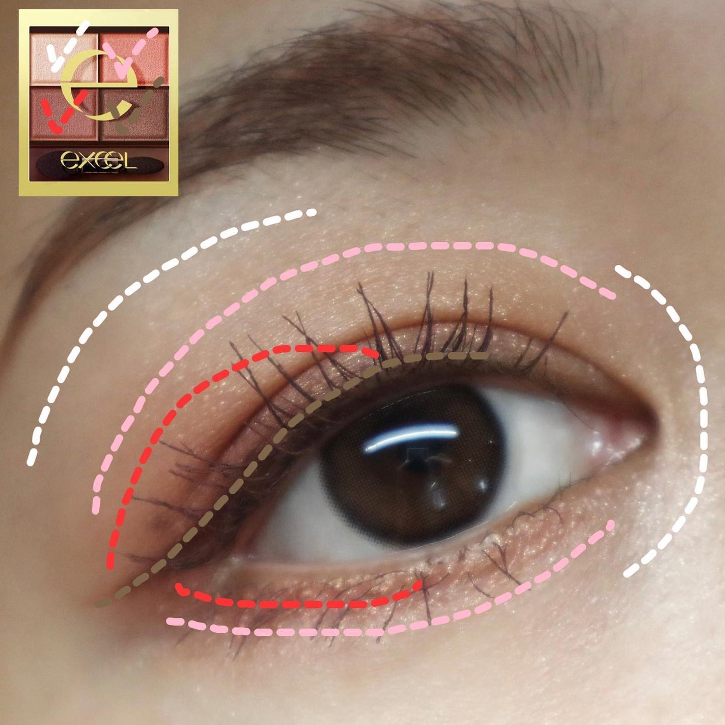 スキニーリッチシャドウ/excel/アイシャドウパレットを使ったクチコミ(6枚目)