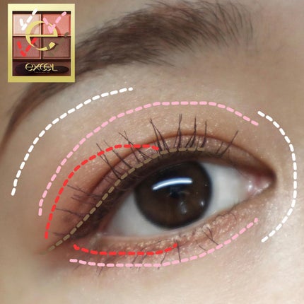 スキニーリッチシャドウ/excel/アイシャドウパレットを使ったクチコミ(6枚目)