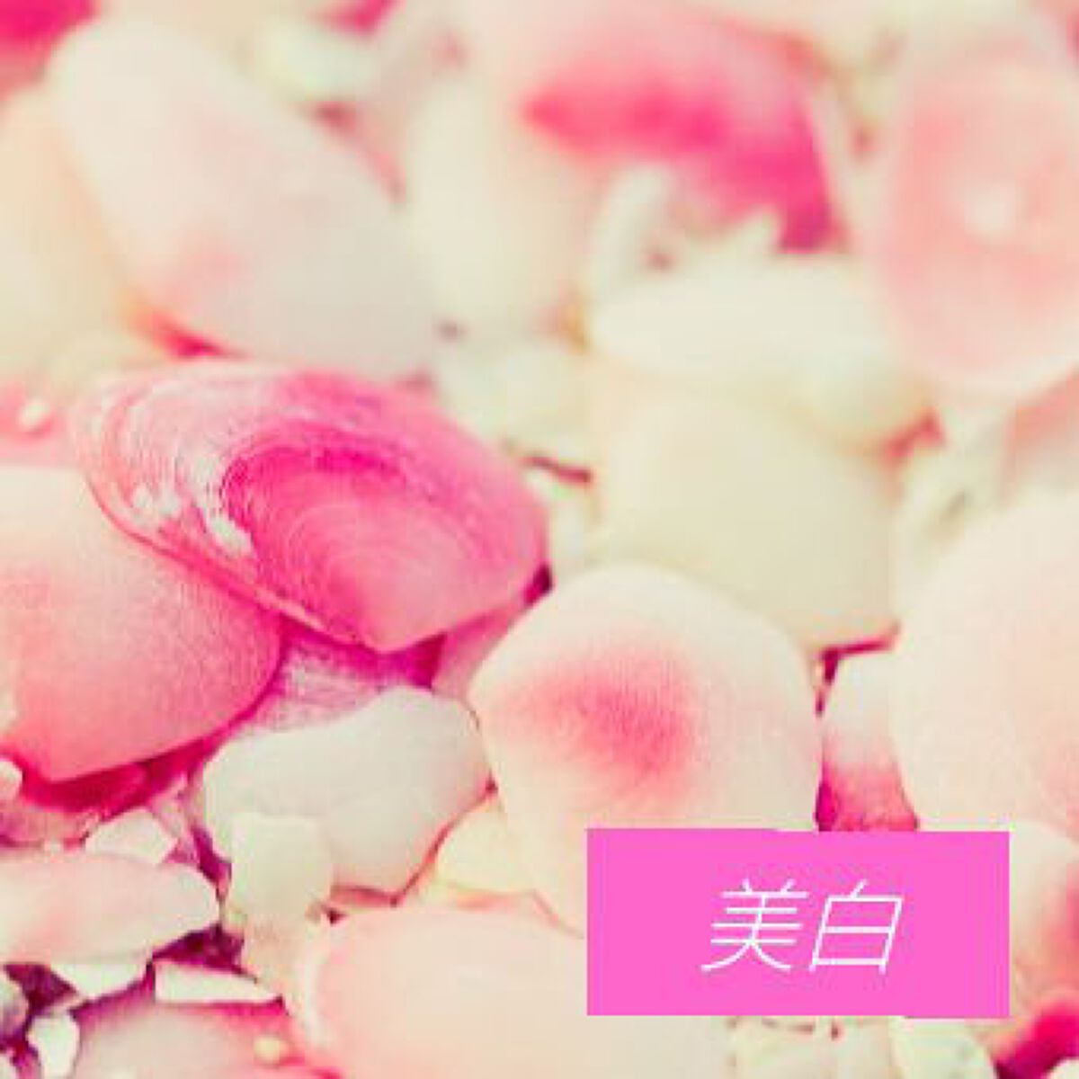 薬用ホワイトコンク ボディシャンプーC II/ホワイトコンク/ボディソープを使ったクチコミ(7枚目)